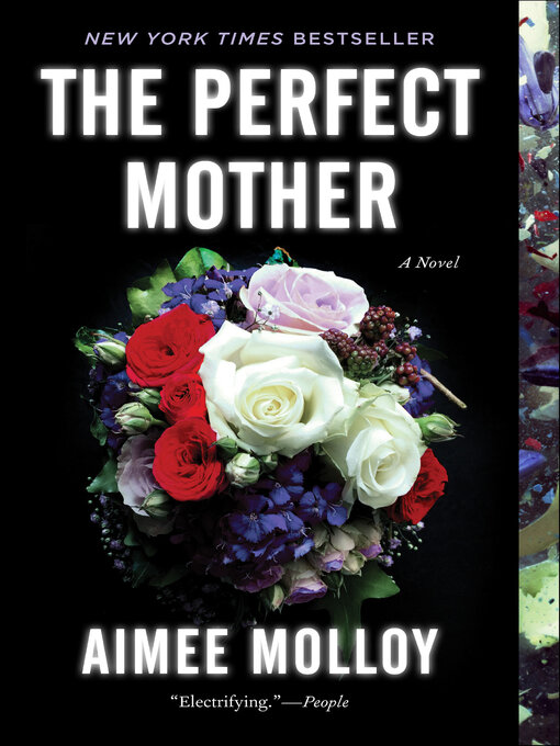 Title details for The Perfect Mother by Aimee Molloy - Available